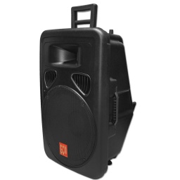 Parlante Bafle Caja Acústica Pasiva 15 1515P Gcm Pro