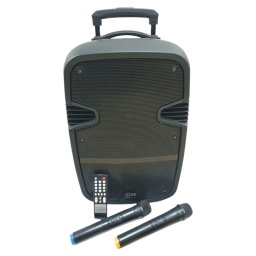 Caja Bafle Potenciada G-120BT 1 x 12" con LED USB FM Bluetooth 220v + 12V GCM Pro