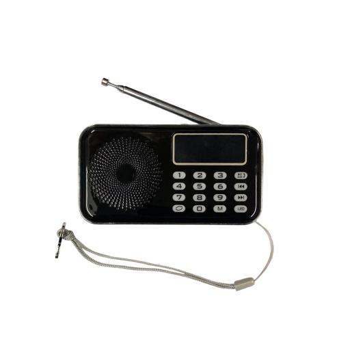 Radio AM/FM digital con bateria recargable luz display LCD USB L-619AM