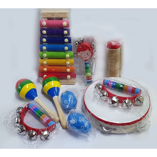 Kit set de percusion infantil de 10 piezas con funda